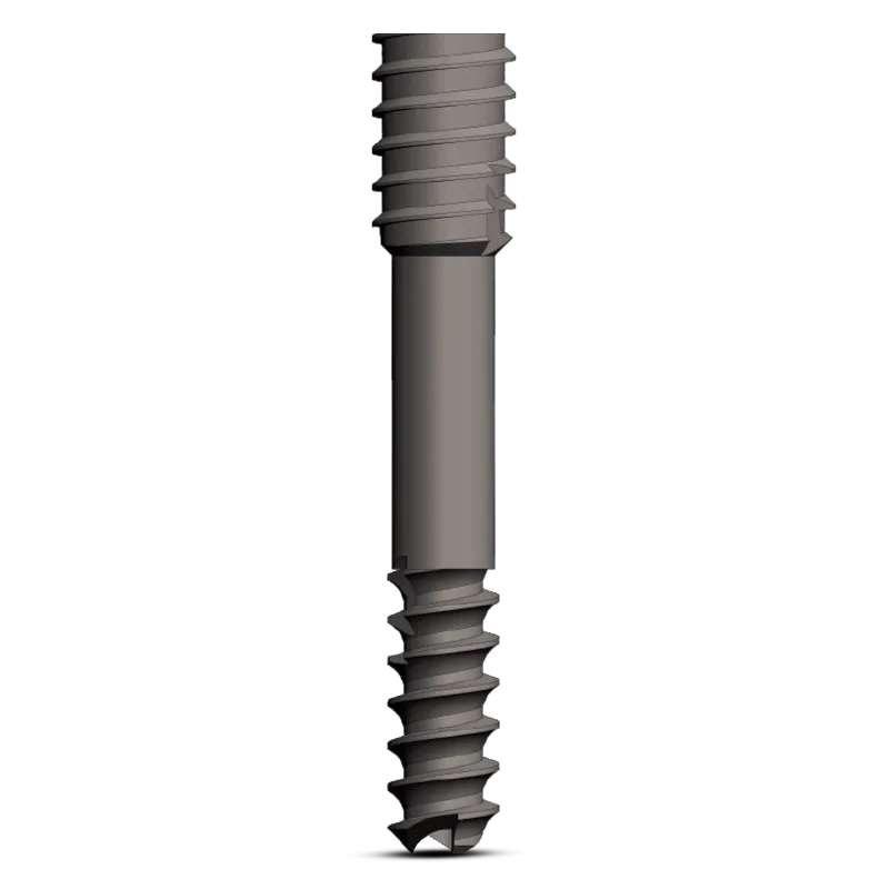 Tornillos Herbert