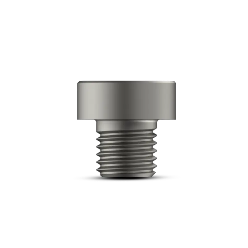 End Cap for Expert Femur Nail -Titanium