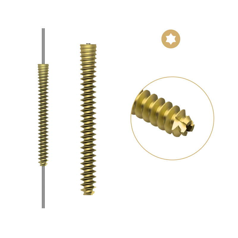 Tornillo canulado sin cabeza 5,5 mm
