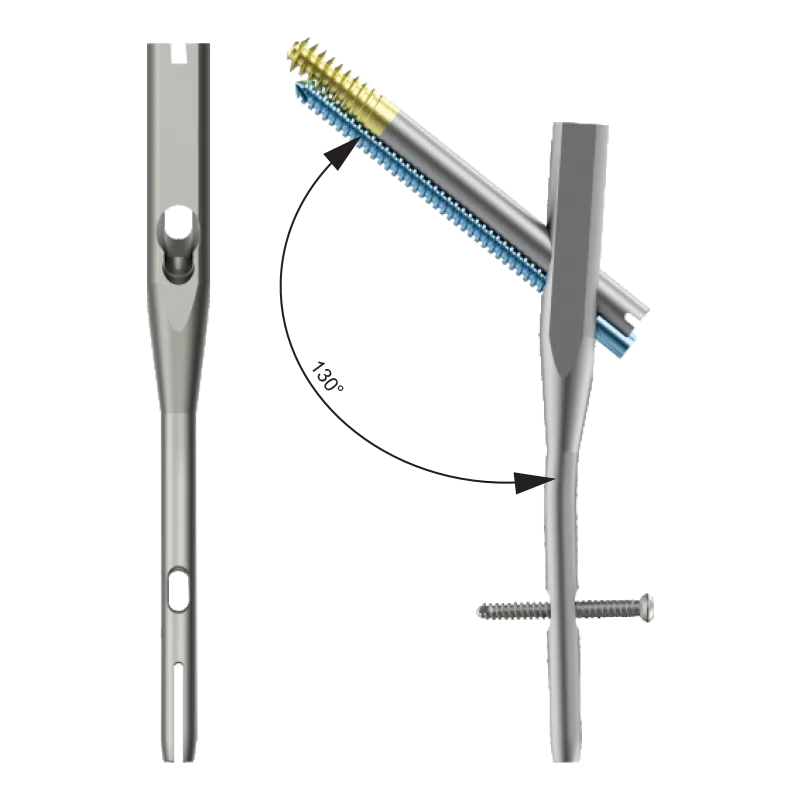 Sistema de clavos Intertan DUROFIX