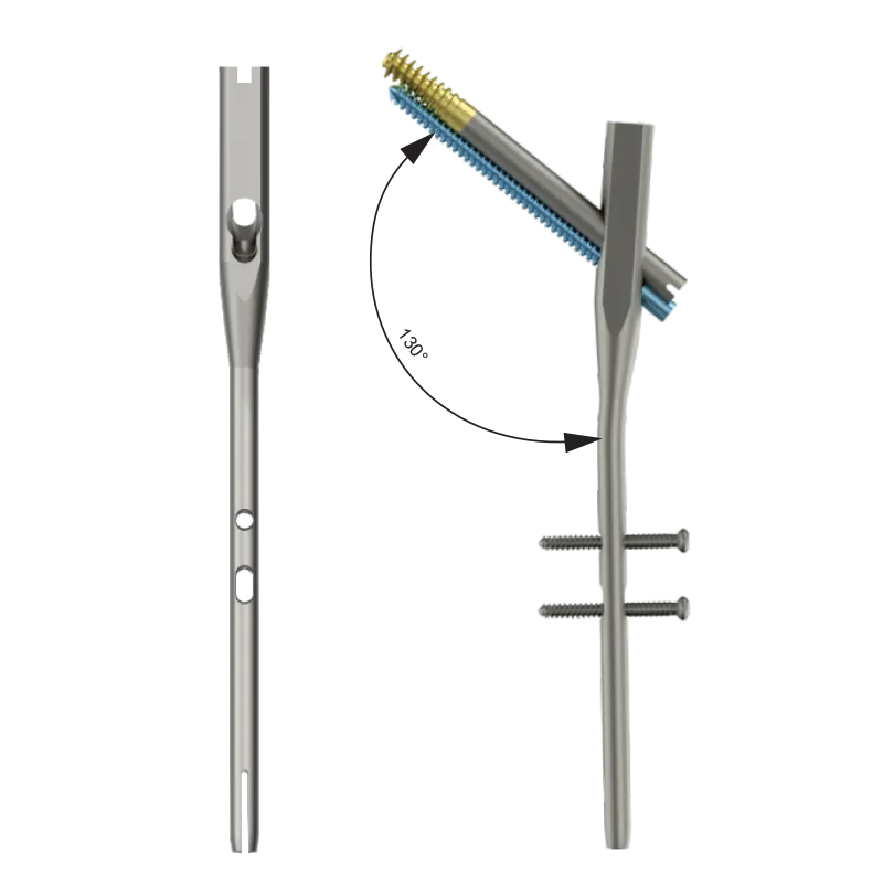 DUROFIX™ Intertan Nail – Short 130 Deg.- Titanium with two bolt