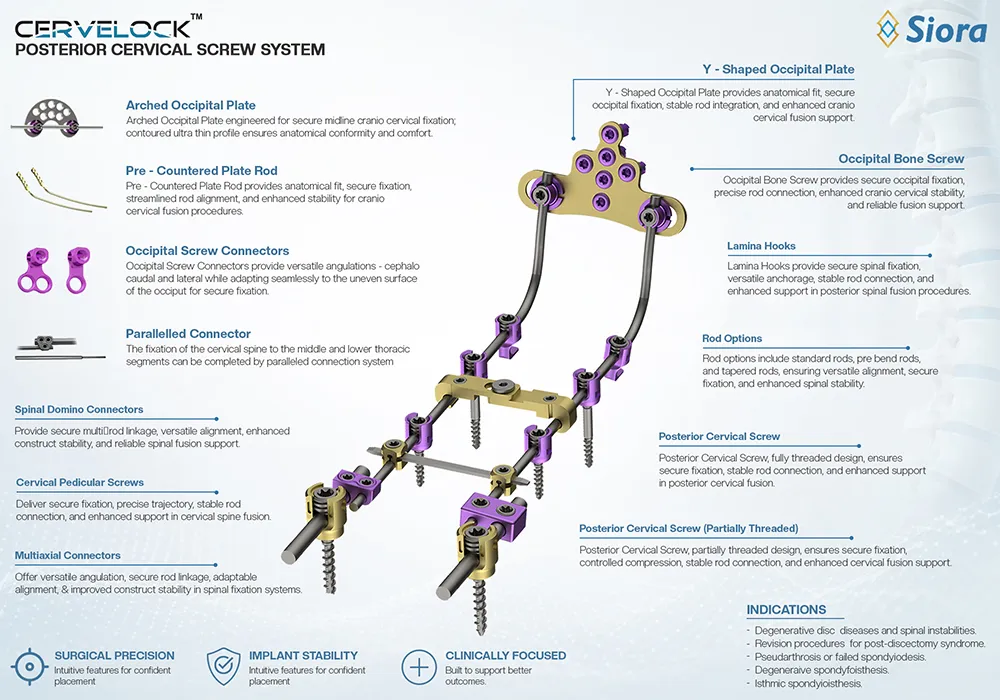 Sistema posterior occipitocervical