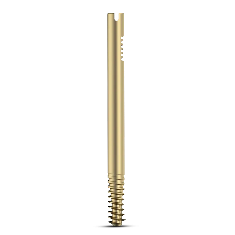 Intertan Nail Cannulated LAG Screw – Dia. 11mm – Titanium